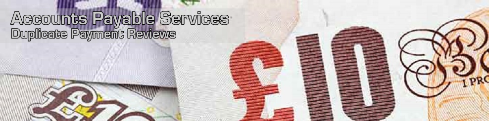 Duplicate Payment Reviews Duplicate Payment Reviews